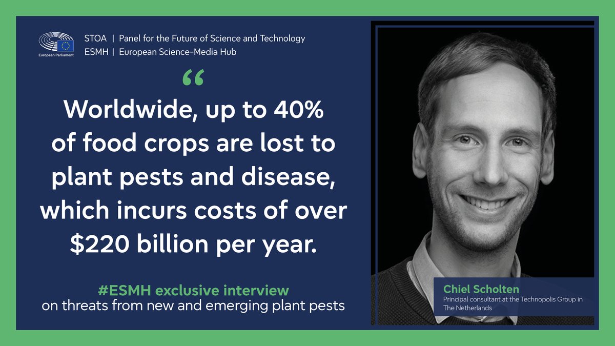 EP_ScienceTech's tweet photo. Today is #WorldFoodDay 🌍🌾

Emerging plant pests, driven by climate change &amp; global trade, pose a risk to EU #FoodSecurity, farms &amp; forests. 

👉 This STOA study maps out policy options &amp; 2050 scenarios to protect our food systems: https://t.co/FGNmBp8tKu

#PlantHealth #AgriFood https://t.co/80GohBcxY6