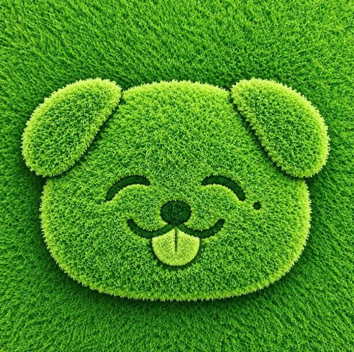ismaflowers_'s tweet photo. SO CUTE 💚💚

#NCTDREAM #DREAM_AFTER_DREAM
#NCTDREAM_DREAM_AFTER_DREAM https://t.co/zsKJiM132u