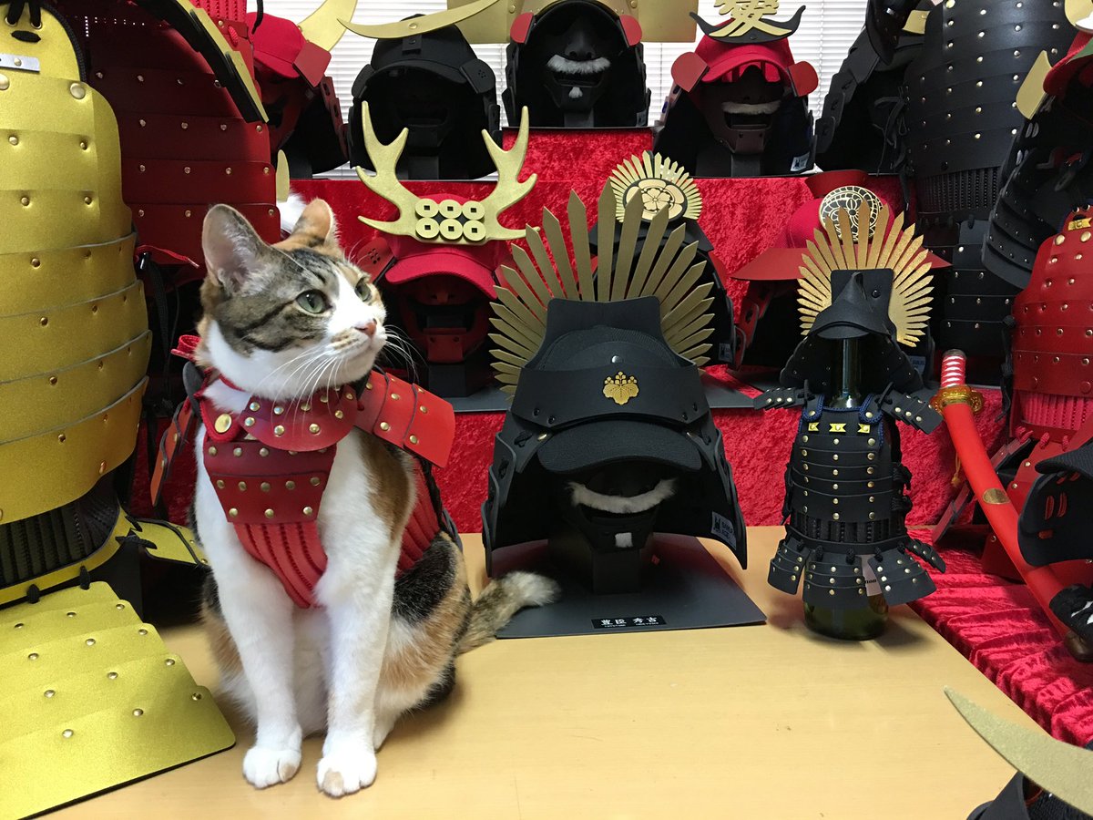 the_samurai_age's tweet photo. いろんなサムライご用意してます⚔️
#samuraiage #サムライエイジ https://t.co/qfO95xgpKi
