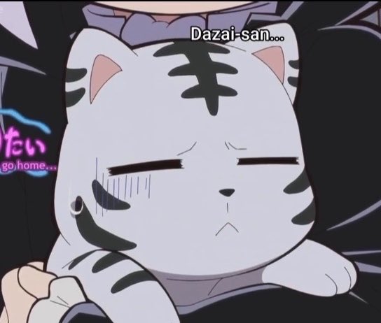 0megatsu's tweet photo. APPRECIATE THE KITTY https://t.co/SAJVFdFbOZ