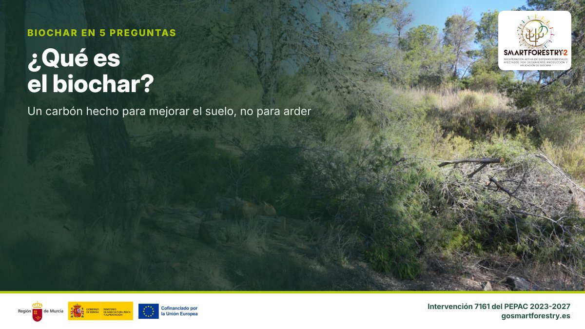 gosmartforestry's tweet photo. ¿Qué es el #biochar? Es un carbón hecho con madera, pero no para quemarlo, sino para echarlo al suelo. Está lleno de poros, como una esponja: guarda agua y da refugio a la vida del suelo.
📰 Más en la web (enlace en el perfil)
#SMARTFORESTRYII https://t.co/2Bxwpi1TpH