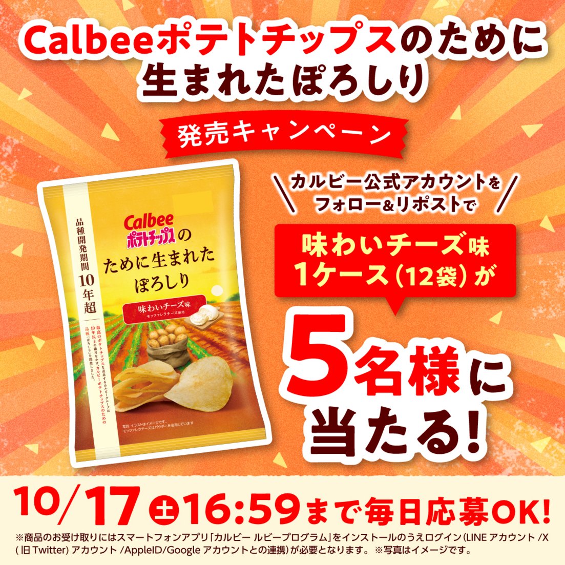 Calbee_JP's tweet photo. 🥔🌱4日間連続キャンペーン最終日🌱🥔
Calbeeポテトチップスのために生まれた🥔品種「ぽろしり」100％使用✨パリッと軽い食感と、ぽろしりのおいしさを引き立てる専用の味付けです！

発売を記念して1ケース（12袋）を5名様にプレゼント🎁カルビーをフォロー＆本投稿をRPで応募完了😊

続く↓ https://t.co/JcgvQ4rQBm