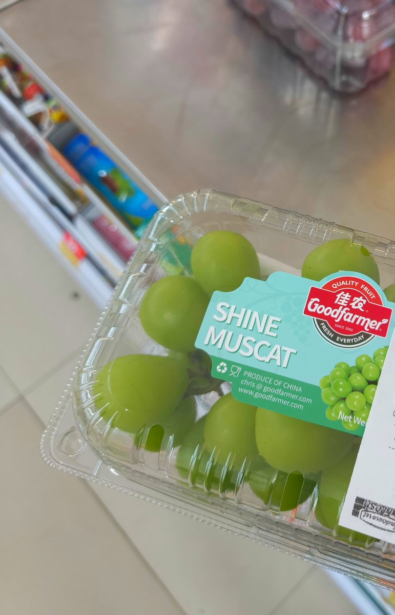 Axam5r's tweet photo. Di luar panasnya nusuk banget. 
Pengen yg segar-segar. Tapi gak mau es es dulu 🤩. 
Silahkan yg mau icip https://t.co/oMcX1EDz6i