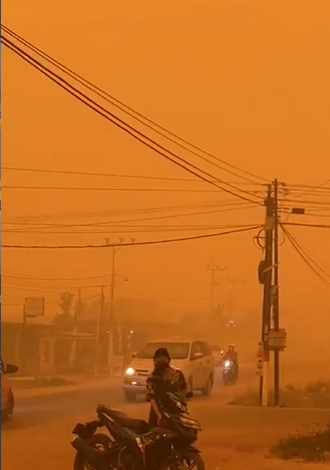 volcaholic1's tweet photo. 🇮🇩   Indonesia: haze from fires has caused 283,270 cases of acute respiratory infection across seven provinces, and 46 orangutans have been rescued. https://t.co/Gb13GNJtYS