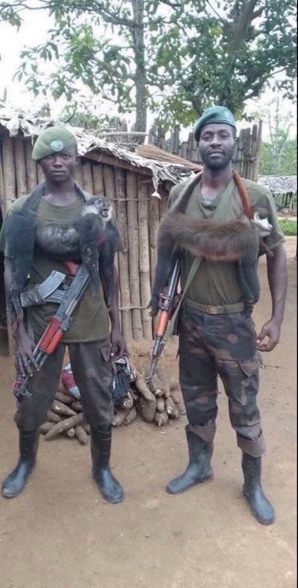 AthousandBrains's tweet photo. DRC is a country of contradictions............Soldiers in the first frame are called rebels (FRN), while those in the second frame are government forces (FARDC). 

No wonder the rebels are winning. https://t.co/EEFsqw82uz