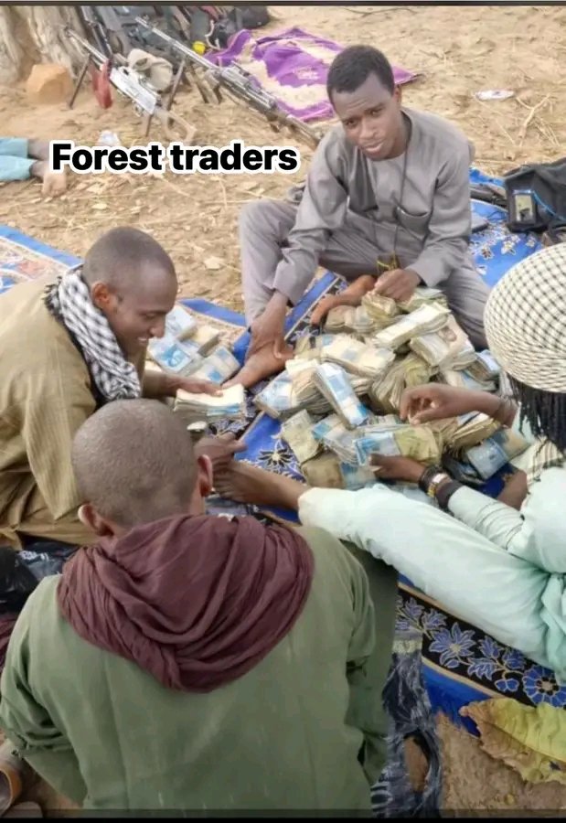 ibnabdul23's tweet photo. Be like na forest trading be the way forward now.. 
😂
Abeg Drop location of your favourite idolo.. 😂😭 https://t.co/CAZcKI30FQ