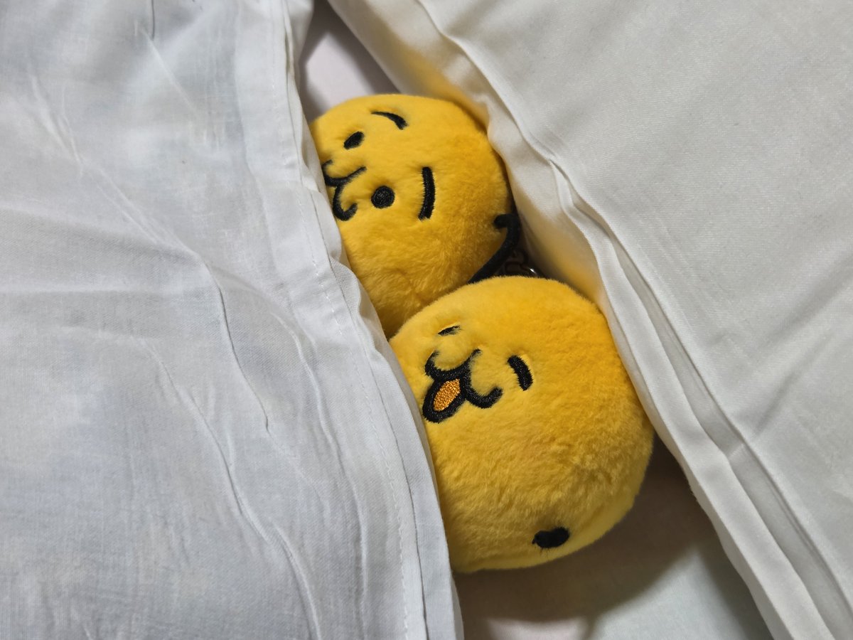 kuke66635681's tweet photo. チェックインだよ～☺
今日はいっぱい回ったから疲れたね☺️ https://t.co/KSLNIPGBWT