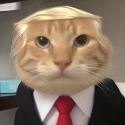 BlockBloomer's tweet photo. 「原来，我也有过这样的时刻呀」

小时候，我偷过小舅小卖铺里的现金去玩游戏，他们并非不知道。前几天，爸妈和舅舅们喝着酒，大家都在说一些掏心窝子的话。那时候，我特别想把这件事说出来，对小舅认真��个歉。我在心里演练了好几遍。只是演练，就已经快哭了。我知道，只要开口，肯定会绷不住。最后还是没能说出来。

那种感觉很奇妙。大家还在聊着天，我心里却翻涌着一件很久以前的事，和一句始终没说出口的道歉。

那天，我们也去祭拜了我外婆。已经是第三年了。烧祭品都烧了2个多小时，那时候仿佛心流了，没有像平时工作那样心不在焉，没有觉得在浪费时间，仿佛时间消失了。

我们就蹲着火旁，等着时间流过，风吹过。

突然有点理解，古人为什么会写散文了。那些可能再平淡不过的事，在心里却都很有分量，久久放不下。