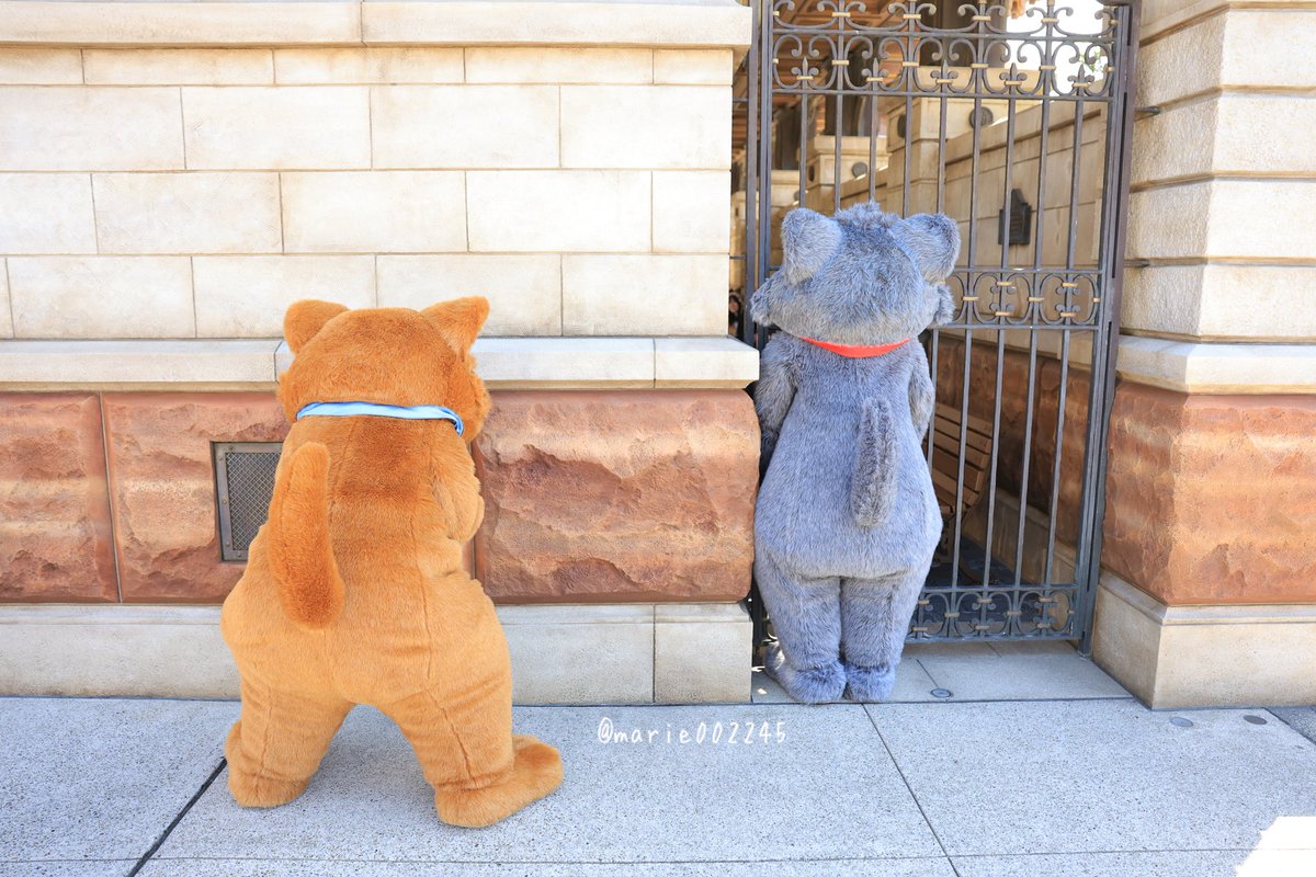 marie002245's tweet photo. それぞれの保護色に隠れているつもり😶‍🌫️ https://t.co/01TncCZANZ