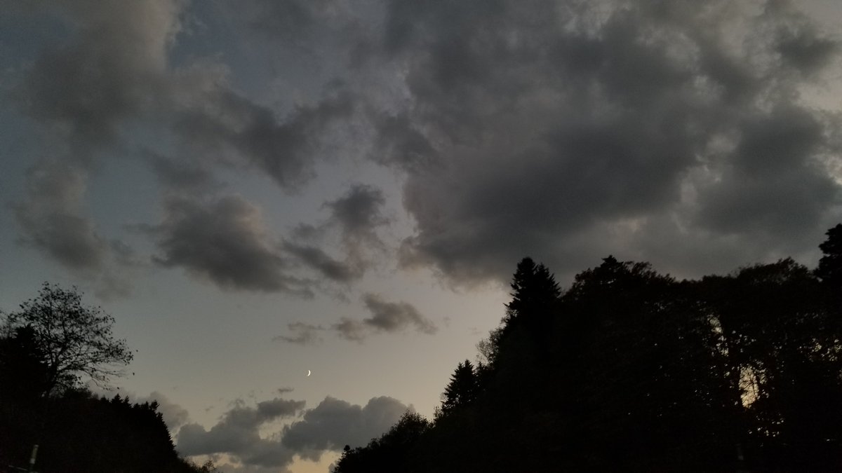 ebinamasutoshi's tweet photo. 動く動く。 https://t.co/vGxJubsRcB