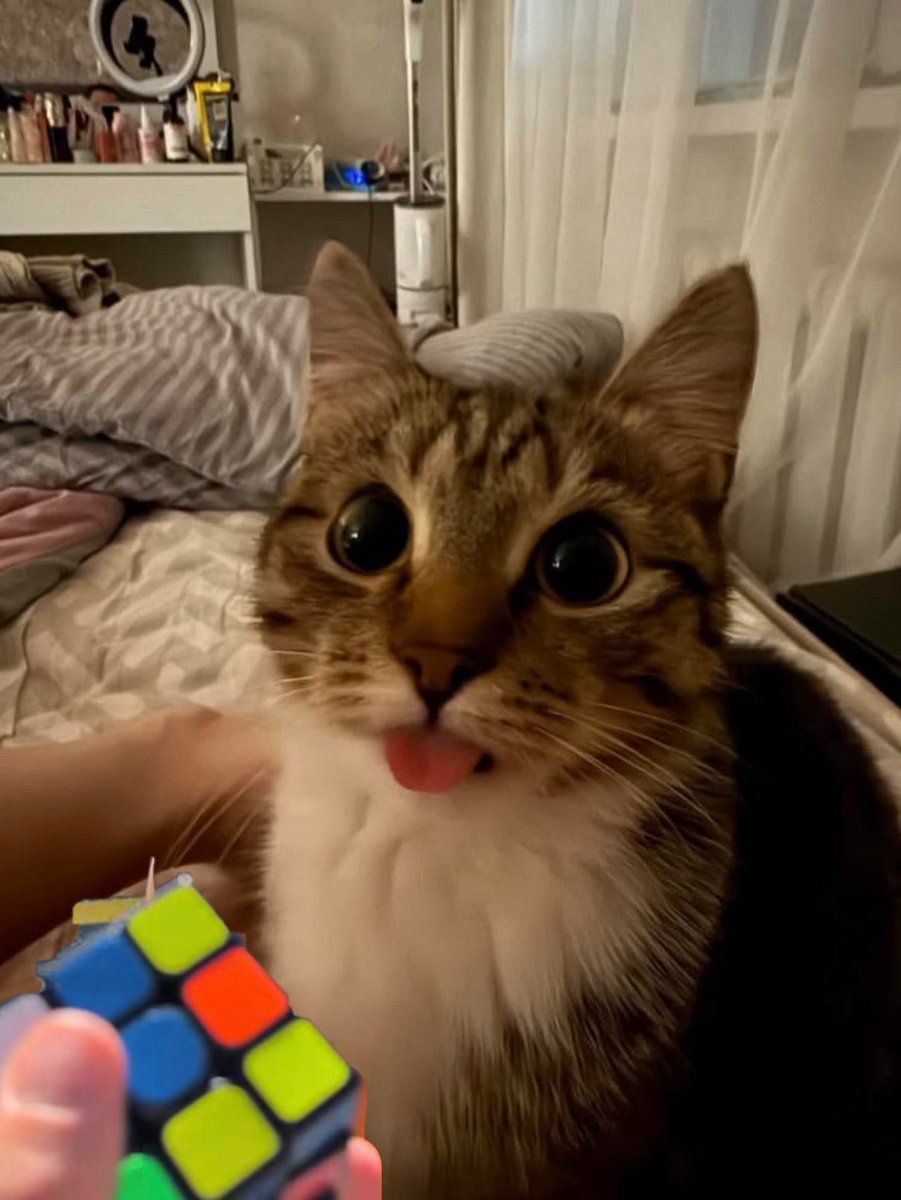 boxboxbah's tweet photo. more oscar x cat parallels https://t.co/LQxC1Za67I