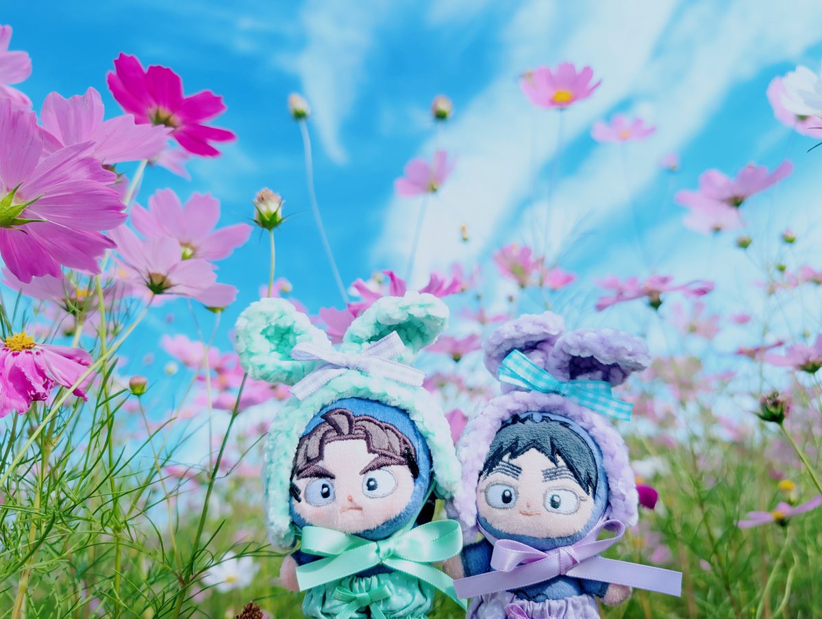 444_Judgement's tweet photo. 秋桜とほわ竹くく！！！🌸🎋📛🩷🩵 https://t.co/mxM0dmgQS7