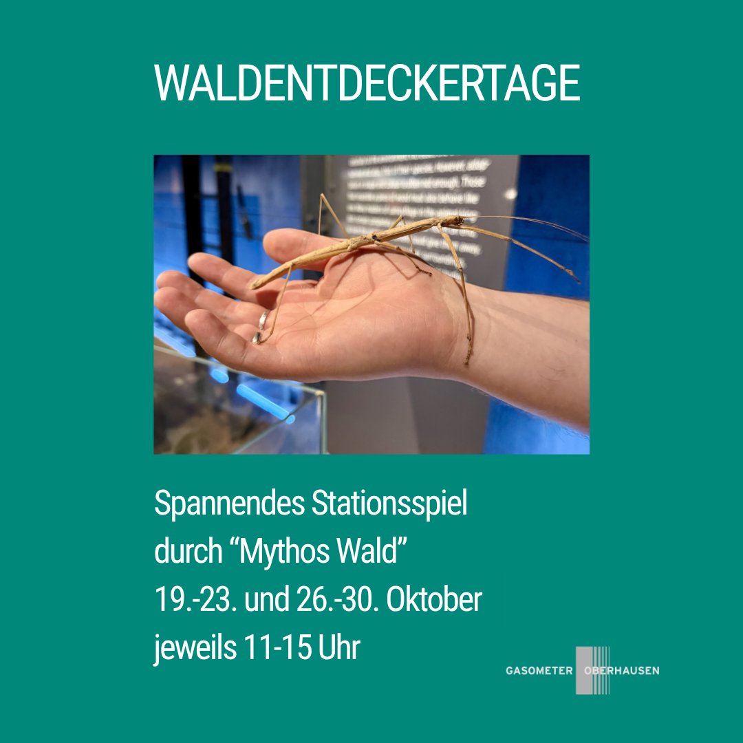 Gasometer_OB's tweet photo. In den NRW-Herbstferien vom 19. bis 30. Oktober hat der Gasometer Oberhausen täglich von 10:00 bis 18:00 Uhr geöffnet - auch an Montagen!

https://t.co/Rl2TtRsFoi 

📸Anja Keienburg &amp; Thomas Wolf, Gasometer Oberhausen und Naturschutzjugend NRW (NAJU) https://t.co/S409Cd9oUm