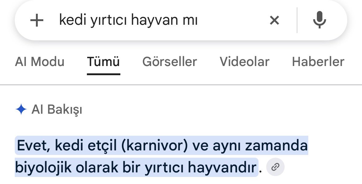 genckemalizimms's tweet photo. @Emelozturk611 Ablacım kediler ensesinden tutulur bilgin olsun :) https://t.co/2OxGj1Q5Mv