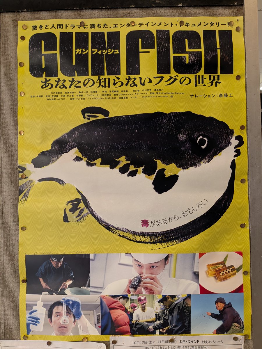 55Sonden's tweet photo. 魚好きにはたまらない映画でした🐡
特に肝論争面白かったなぁ。
もうフグをさばかないことを肝に銘じました。パンフ買っちゃった🐡
#GUNFISH
#あなたの知らないフグの世界 https://t.co/ibEs2qbfgh