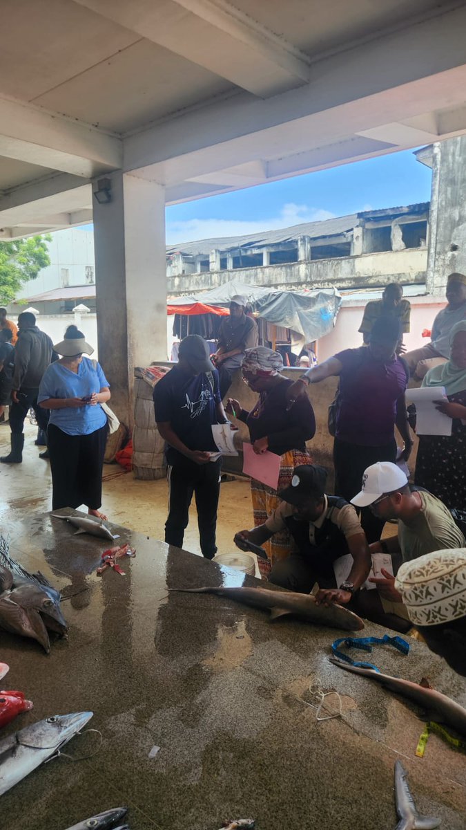 WCS_Mada's tweet photo. Investing in people for better conservation. WCS Madagascar staff joined regional shark & ray ID training in Zanzibar. 🦈🌊 #CapacityBuilding
@endillegaltrade https://t.co/rUXwrw01Zh