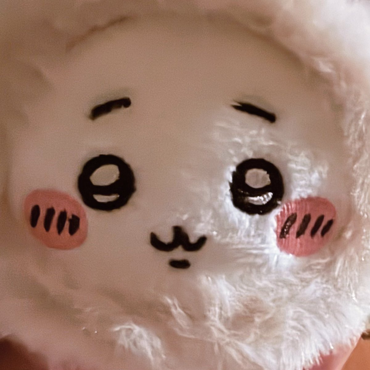 P1486348's tweet photo. 転売ヤーから買った方が安くて横転
けど、かわいいからオッケーですჱ̒( > ̫ < )うちのこ🎶🎶 https://t.co/NHsYsXsXWs