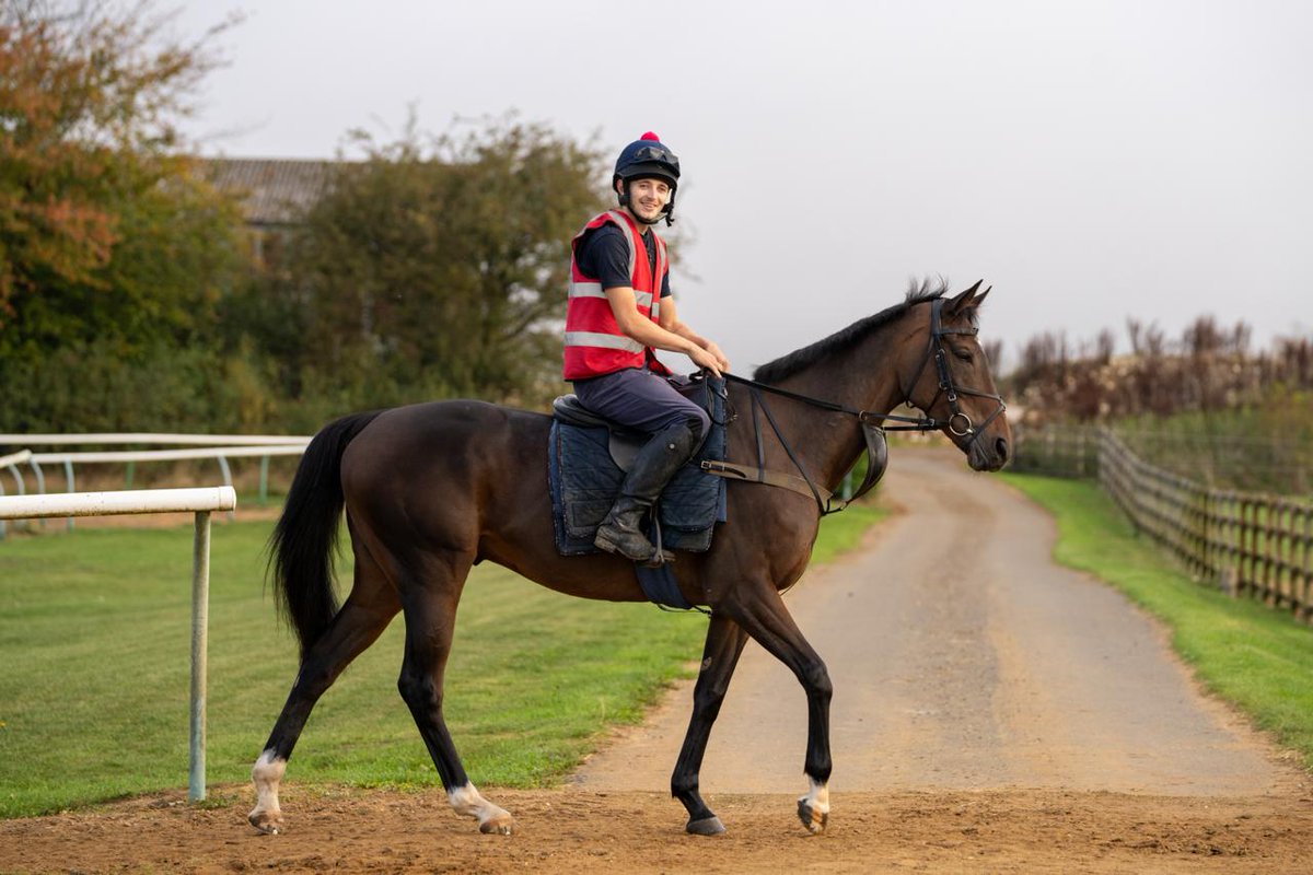 OldGoldRacing's tweet photo. John Barbour has his first entry of the season!
If all goes to plan over the next week, John will start his season off in the opening race of #TheShowcase meeting at @CheltenhamRaces on Friday 23rd October 💛 https://t.co/B9p93bust0