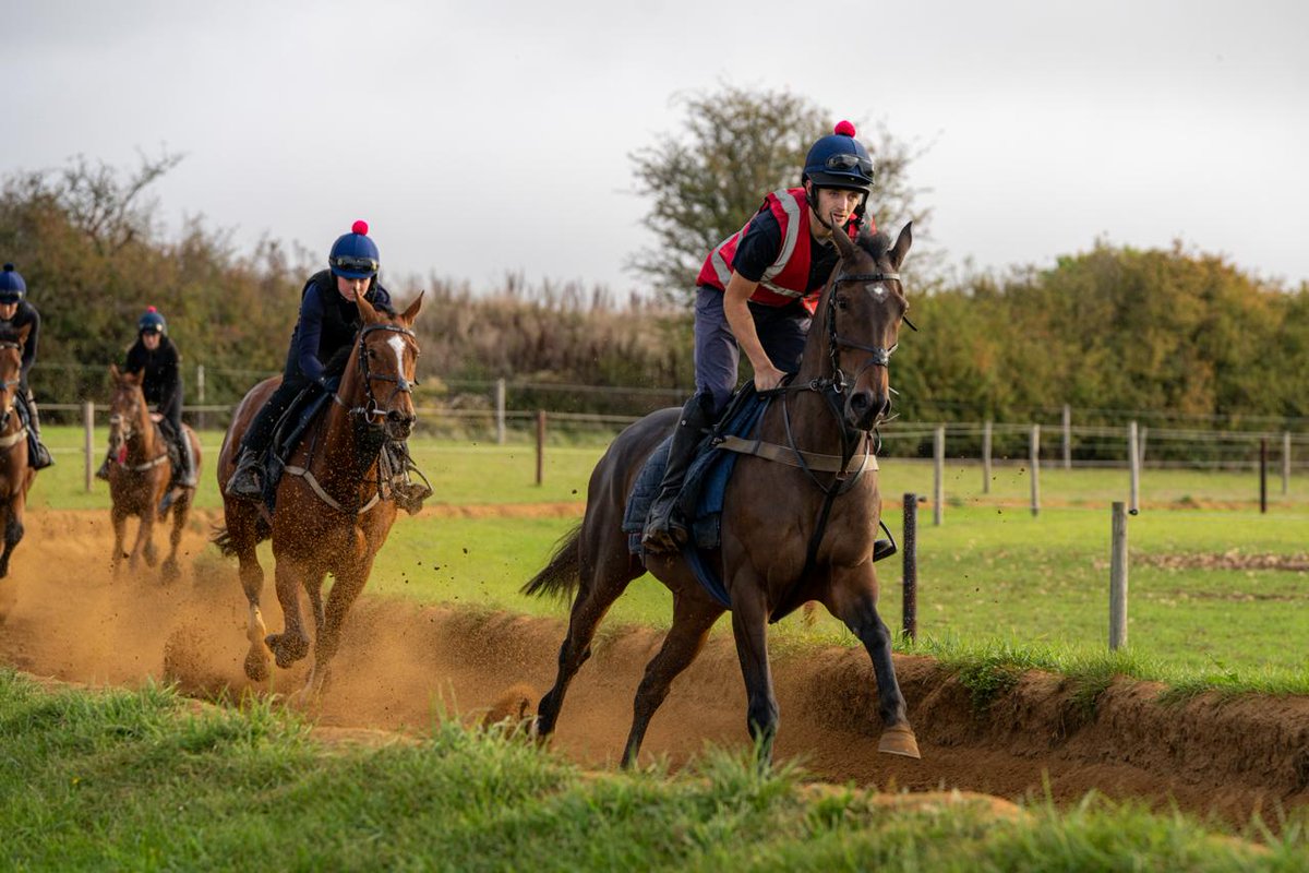 OldGoldRacing's tweet photo. John Barbour has his first entry of the season!
If all goes to plan over the next week, John will start his season off in the opening race of #TheShowcase meeting at @CheltenhamRaces on Friday 23rd October 💛 https://t.co/B9p93bust0