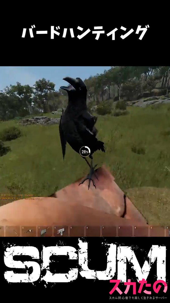 ochari_3's tweet photo. 【#Shorts】バードハンティング【SCUM: INTO THE WILD】 https://t.co/YNeRjgpjBk #scum #オープンワールドサバイバルクラフト #ゲーム実況 #pve #scumgame #スカたの https://t.co/PYvXbADoQE