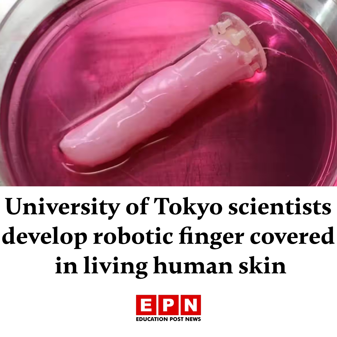 Education_EP's tweet photo. @UTokyo_News_en scientists develop robotic finger covered in living human skin

Details here 🔗https://t.co/fYWVsBEej8

#UniversityOfTokyo #RoboticsResearch #LivingSkin #BiomedicalEngineering #ScientificInnovation #EPN https://t.co/IW8NX2DyCy