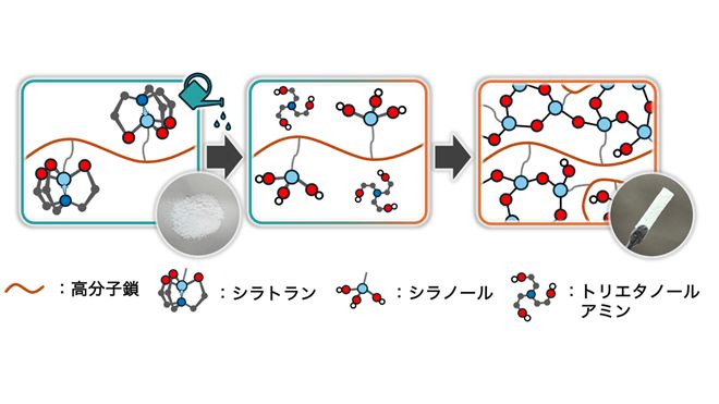 chemstation's tweet photo. 時代は水だ！ セメントのように水と混ぜるだけで成形・硬化できる「水硬性」高分子 | Chem-Station (ケムステ) https://t.co/XXtcEQB2CD https://t.co/UVAaQuebaX