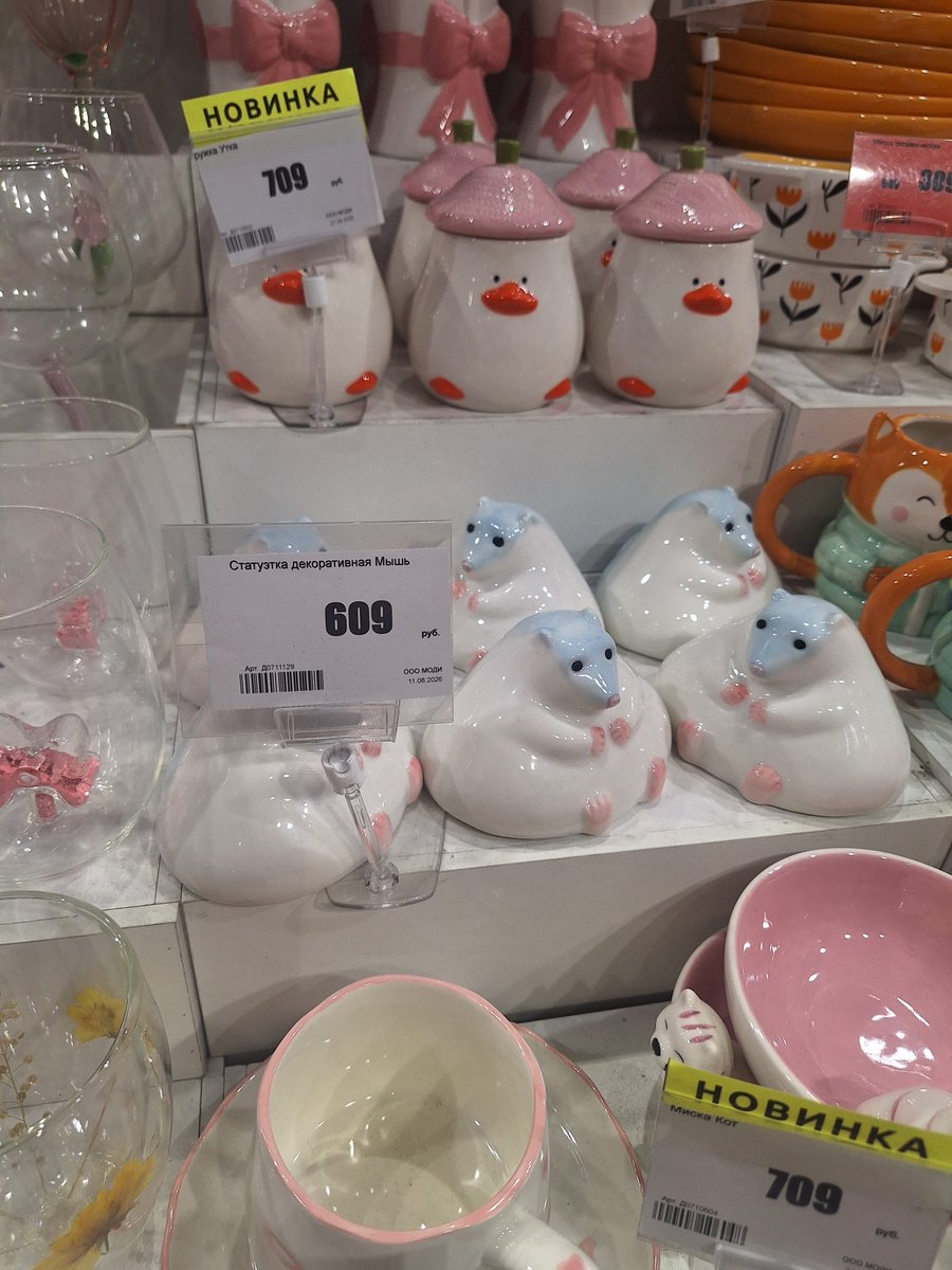 jiang_yanliholi's tweet photo. Думаю все-таки купить эту огромную бесполезно жирную мышь https://t.co/MMcFs3yz6I