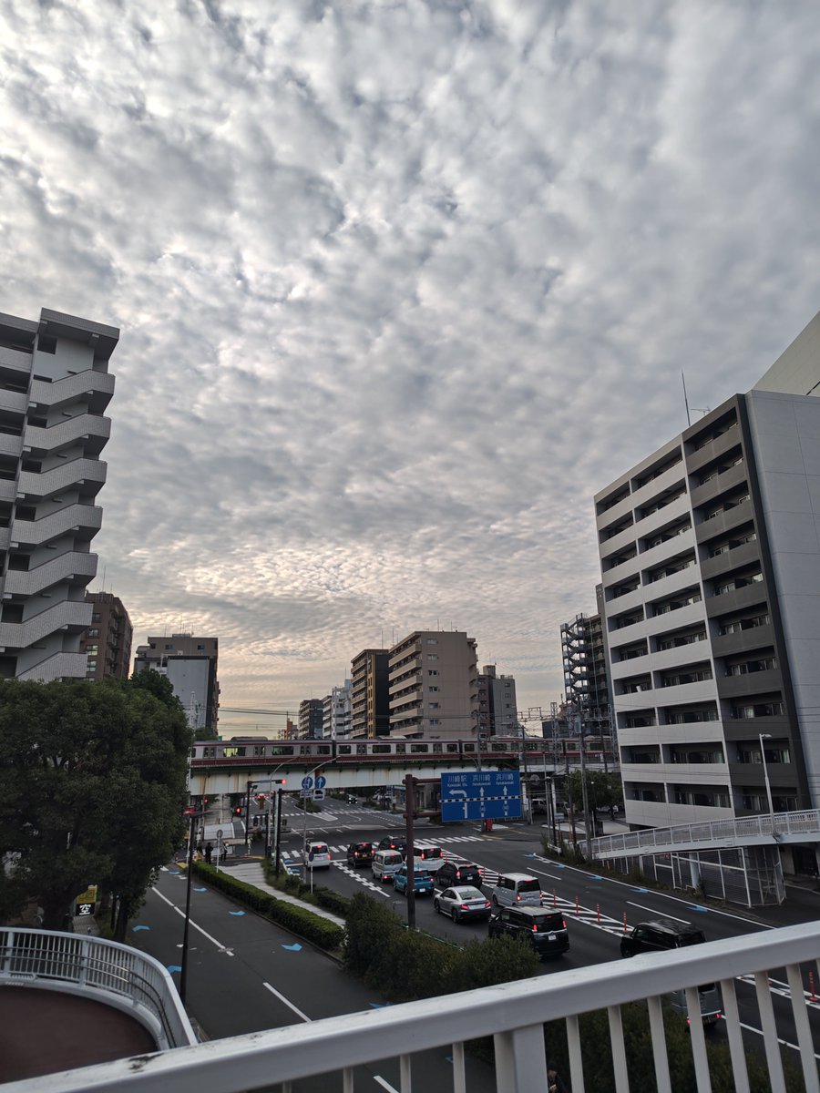 BACHUNsamadesu's tweet photo. なんとなく、秋の空と、詐欺です。☺️＃秋　＃空　＃詐欺　＃サギ　＃秋の空　＃Japan　＃川崎市　＃川崎駅　＃都会　＃写真　＃綺麗 https://t.co/zKlrNW6eCk