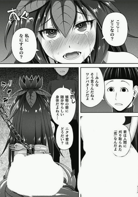 viniciusgenu's tweet photo. https://t.co/PVwkUIP5JK
