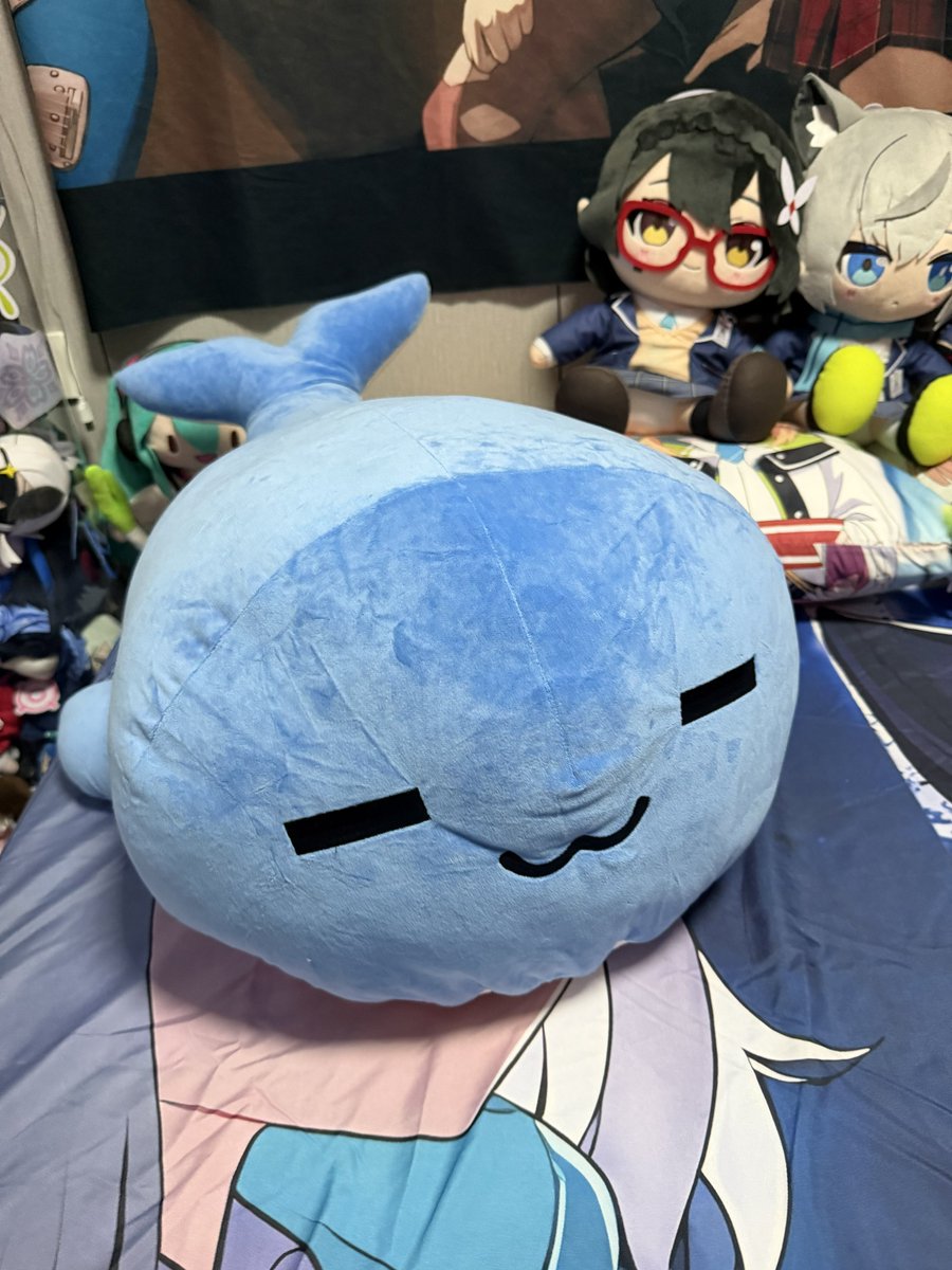 ShirokoBA0516's tweet photo. #ブルアカぬいぬい部 
ホシノ「うへ〜 先生が注文してくれたクジラ型の枕が届きました！すごく嬉しいです！！！ 」🤩🤩 https://t.co/NQC5r2qe3U