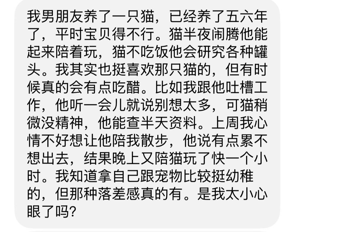Juleeeyuh's tweet photo. 这姑娘谈个恋爱，居然还得跟一只猫争宠 https://t.co/Da95VZn7IV