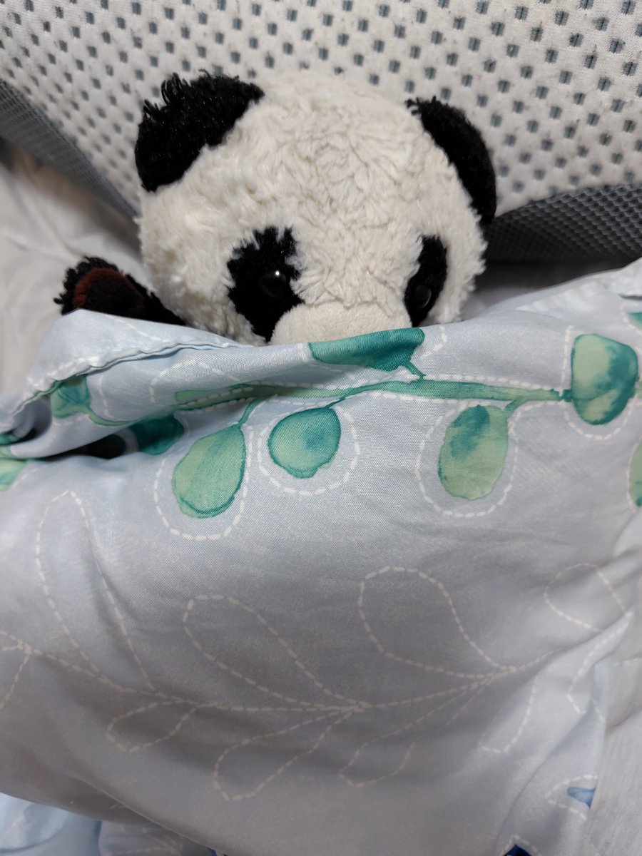 sheripanda's tweet photo. 🐼<おきた

🐼<とみせかけてねんね💤 https://t.co/2ekmbFMdg1