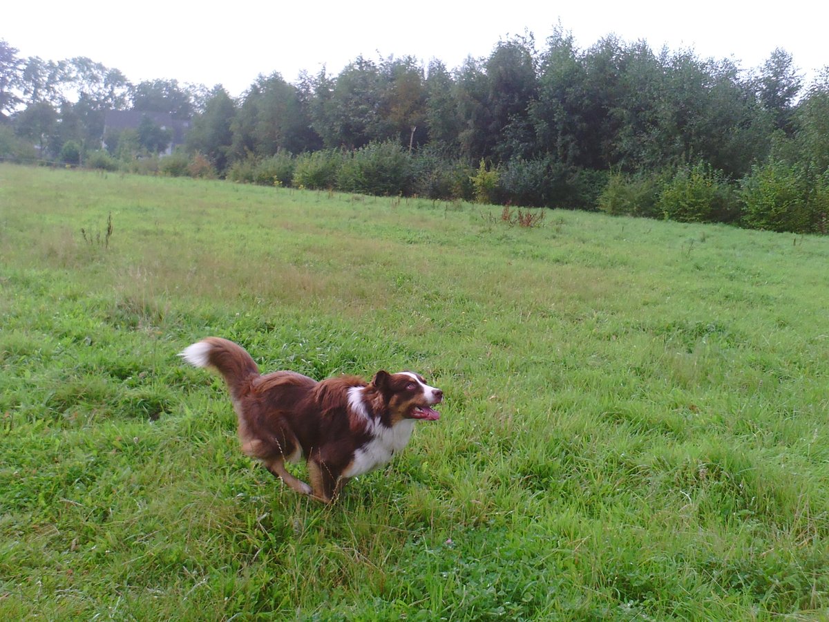 Dexter06082013's tweet photo. 2014, eine Runde Frisbee... https://t.co/XTn5wsTfdh
