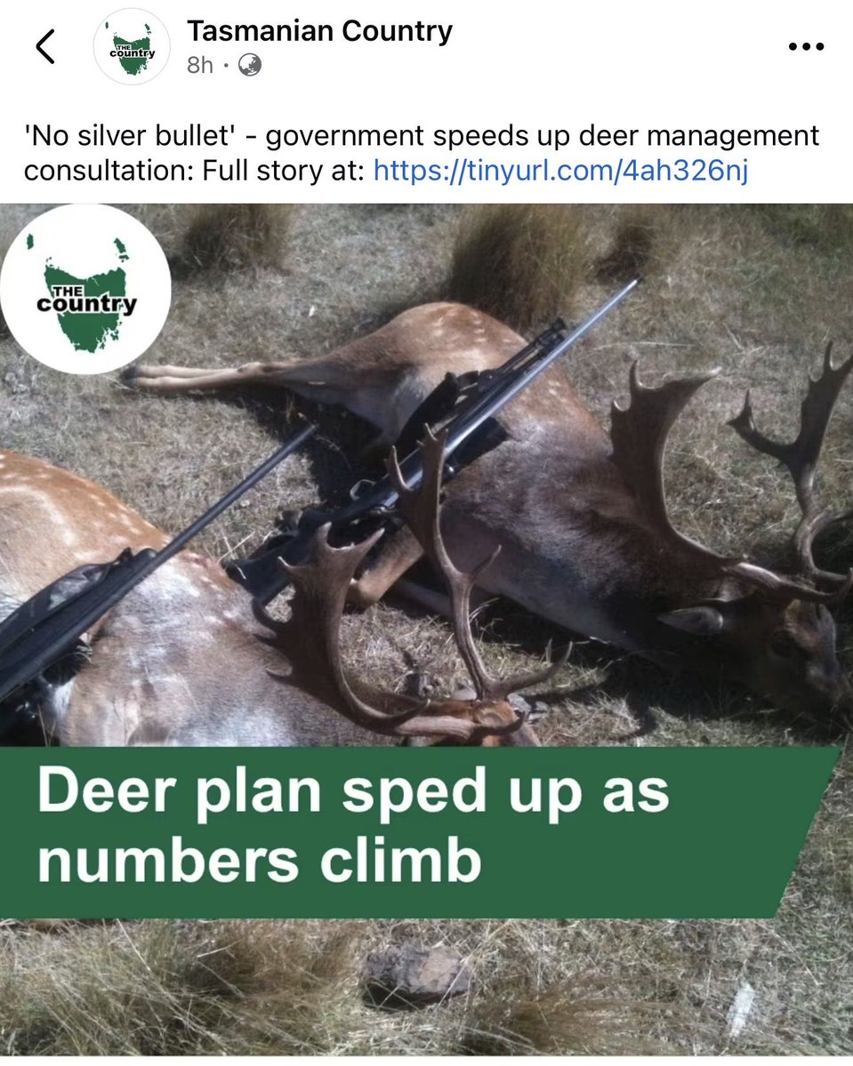 PhillipBiggInd's tweet photo. As president of @ShootersUnion Tas I wrote and provided every member of the parliament in December 2025 a comprehensive Bill to allow game meat donations through 2 pathways of unregulated and regulated donation. #politas #taspol The fact not a single member of parliament has tabled this bill shows how little they care about getting on with job  @TasLiberal