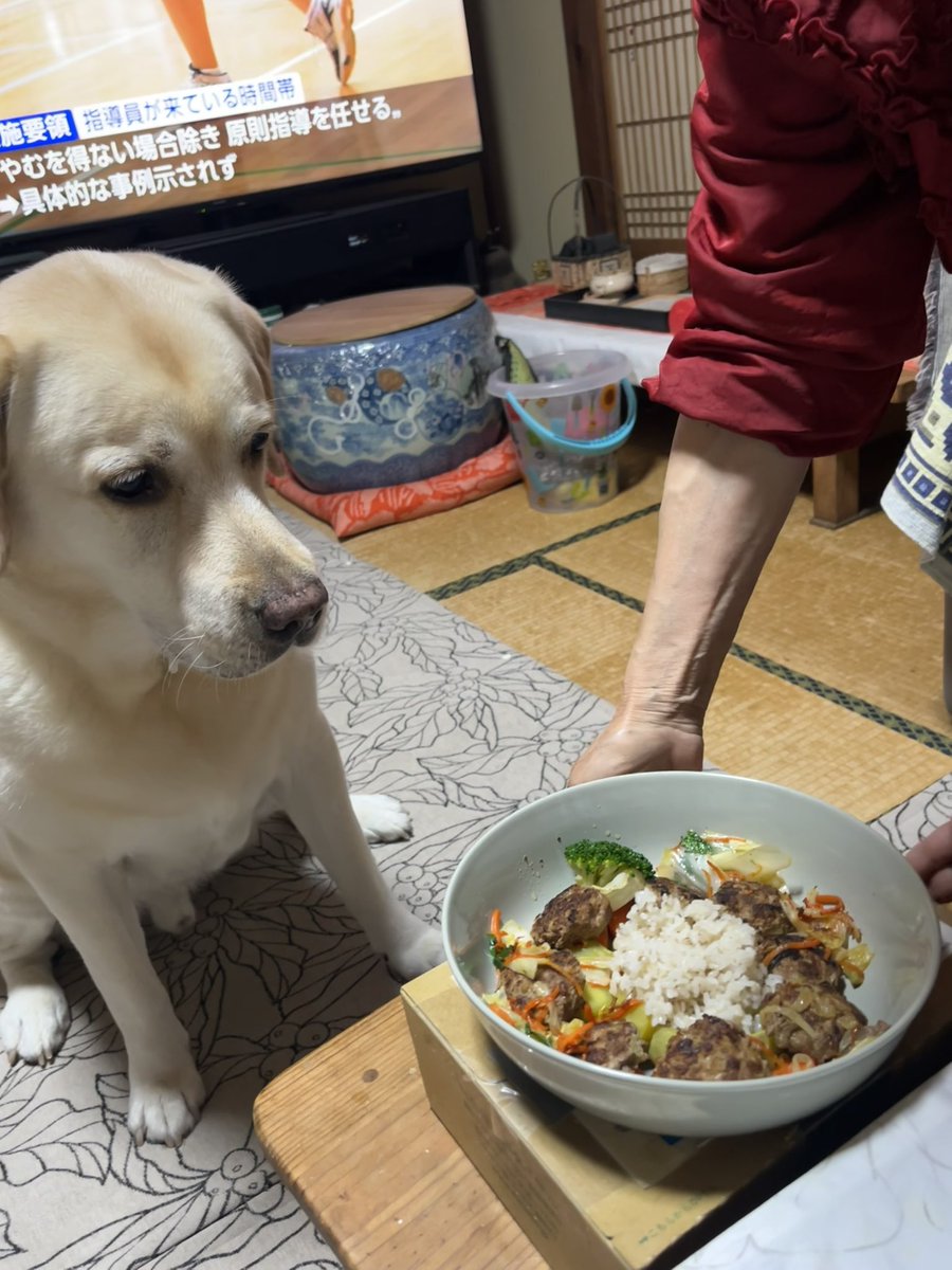 MikihikoMori's tweet photo. 👨‍🌾🐶アラン君❤️誕生日おめでとう㊗️🎉🐶👨‍🌾
🐶👨‍🌾9歳㊗️健康で👍元気で💪😊❤️👨‍🌾🐶 https://t.co/ZcPlbUg4No