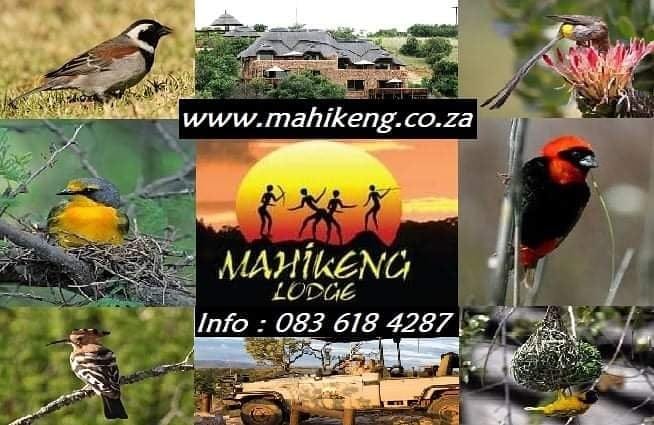 MahikengL's tweet photo. Mahikeng Lodge
Magaliesburg, Gauteng, South Africa
1hr from https://t.co/VKoxg6dD2Y
WhatsApp: 083 618 4287
#SelfCatering #GameLodge #HillsideLodge #ValleyView
#BushLodge #MountanView #MobileSpa #BomaHire
#GameDrives
Part of @MagaliesMeander
Part of @welovemagalies https://t.co/vmNMdvrFZq