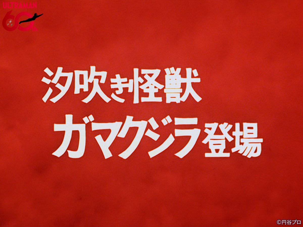 tsuburayaprod's tweet photo. 『ウルトラマン』
14話「真珠貝防衛指令」
ちょうど60年前の1966年10月16日(日)放送📺

「汐吹き怪獣 ガマクジラ」登場⚡️

#ウルトラマン60周年 https://t.co/8zPR6sihXc