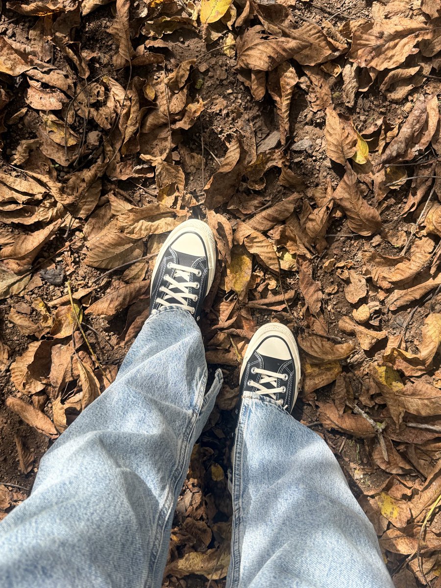 hlij2t's tweet photo. Ufaktan gökyüzüne çıkıldı 😎🥶🌸
#gözne https://t.co/W3BuiPB6O9