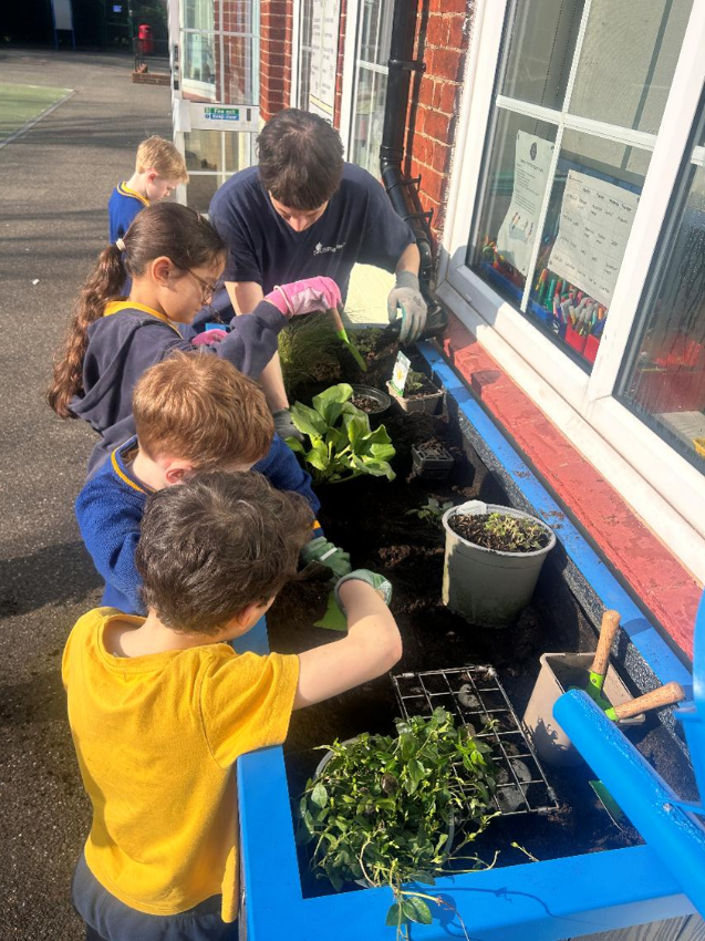 The_Arch_Tech's tweet photo. Sudsplanter Ltd has delivered a multi-site sustainable drainage project across seven schools in the London Borough of Merton helping to manage surface water runoff and reduce localised flooding...

https://t.co/eJDtf2l1aJ

( @SuDSPlanter )

#SuDS #Drainage #RainGardens #Schools https://t.co/X2pNw9SX3y
