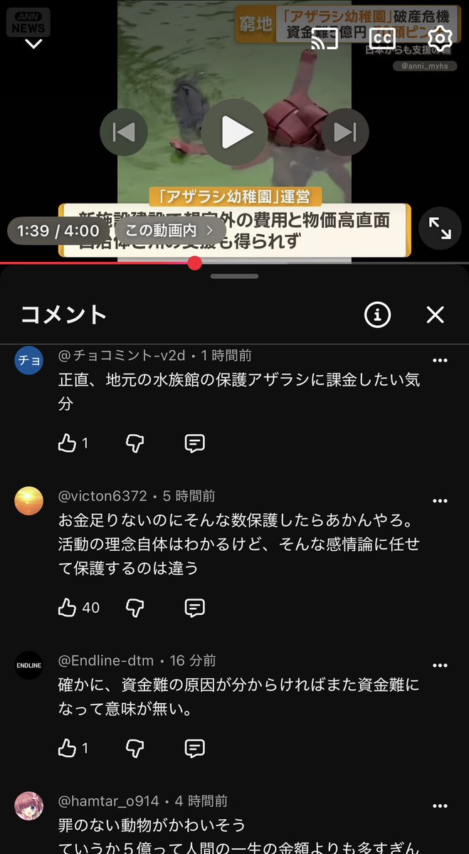 DB_limit_break's tweet photo. 厳しいコメントが多いね

オランダ「アザラシ幼稚園」破産の危機　施設建設で想定外のコスト　70頭がピンチ

https://t.co/vpVQoQlBl5 https://t.co/vpvJGxeWY6