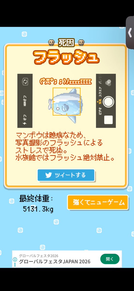 Dango_Lontam's tweet photo. フラッシュとさかな天国 https://t.co/ohZo0JW969