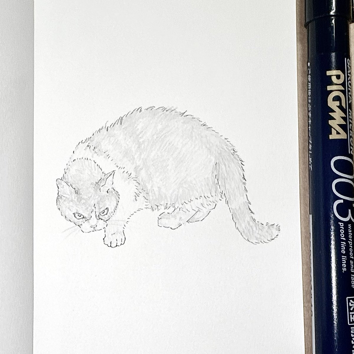 maogatocatneko's tweet photo. γ€γ³γ―γγΌγγΌ Day16π±
#inktober
#catart #catdrawing
#munchkincatober https://t.co/SNYpkItBaI