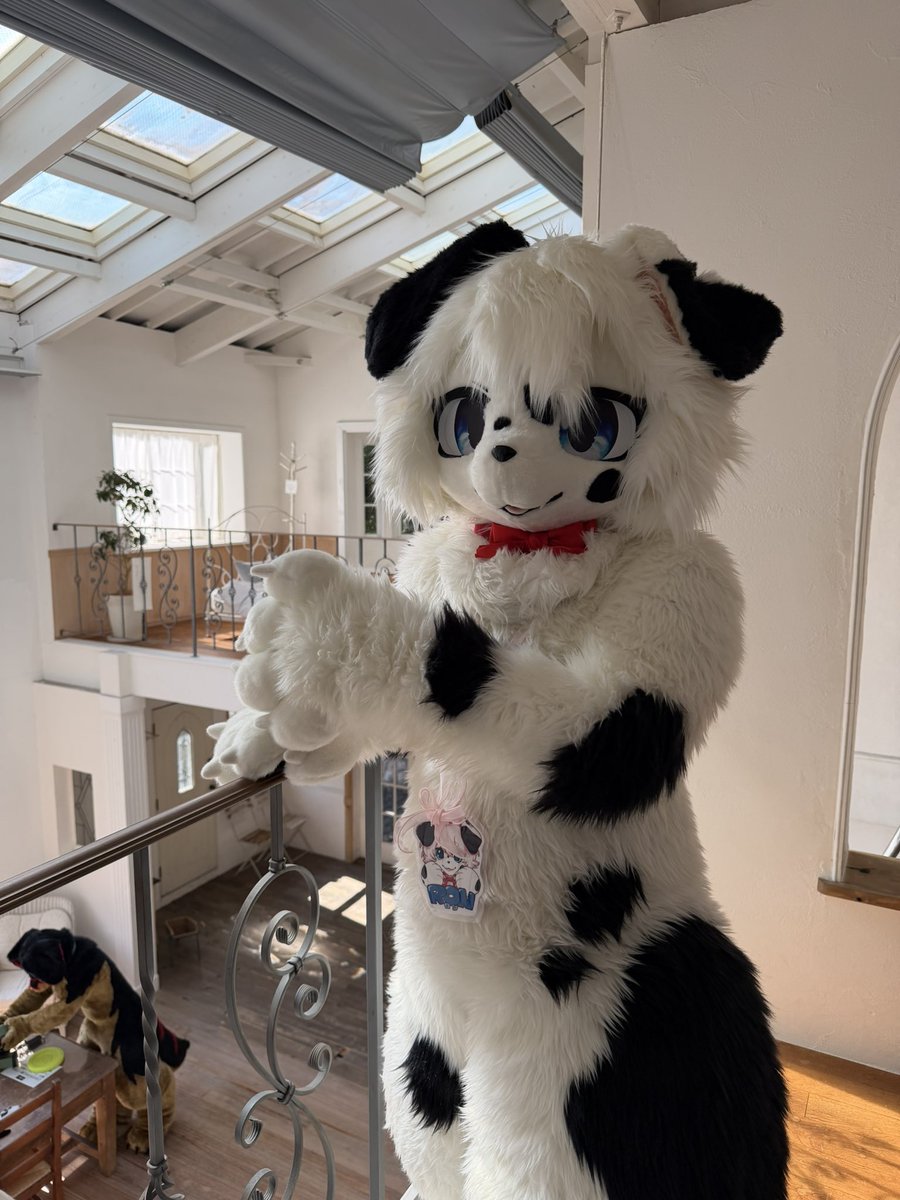 logelogechan's tweet photo. #FursuitFriday
#LopDaze https://t.co/pANU26g9c9
