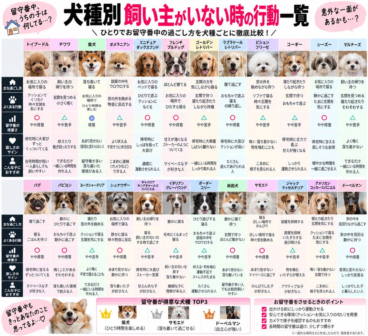 buzz_cos_'s tweet photo. 犬種別飼い主がいない時の行動一覧 https://t.co/QEgD2ZHgOS