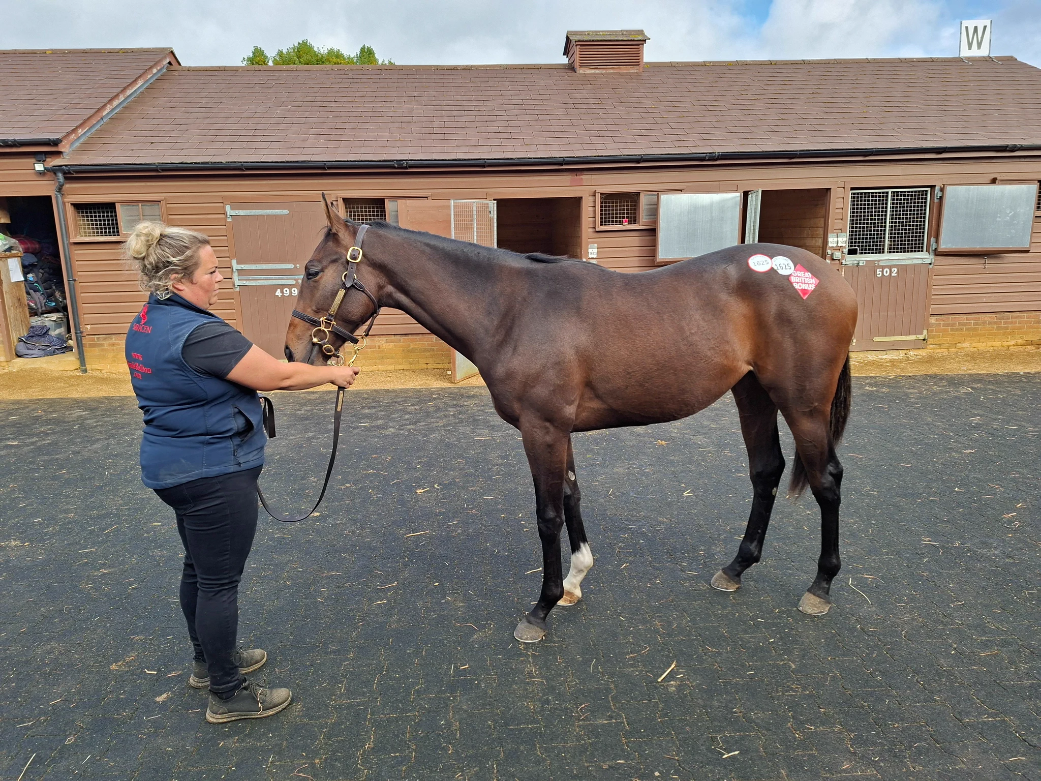 James Millman on X: "El Caballo Filly 1/4 Shares Available ...