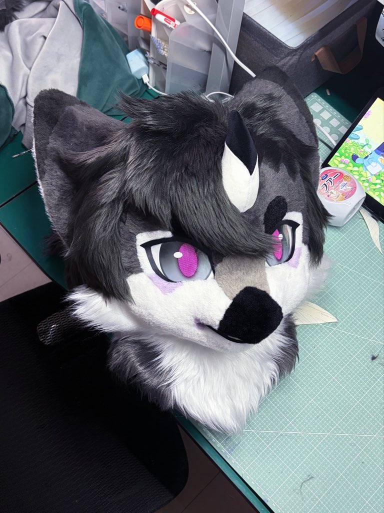 0000warrior's tweet photo. 🐣This little one comes with a unique single horn and soft feather texture！
#Furry #Fursuit #FursuitMaker #fursuitmaker #birdfursuit https://t.co/L3v4L8fxGp
