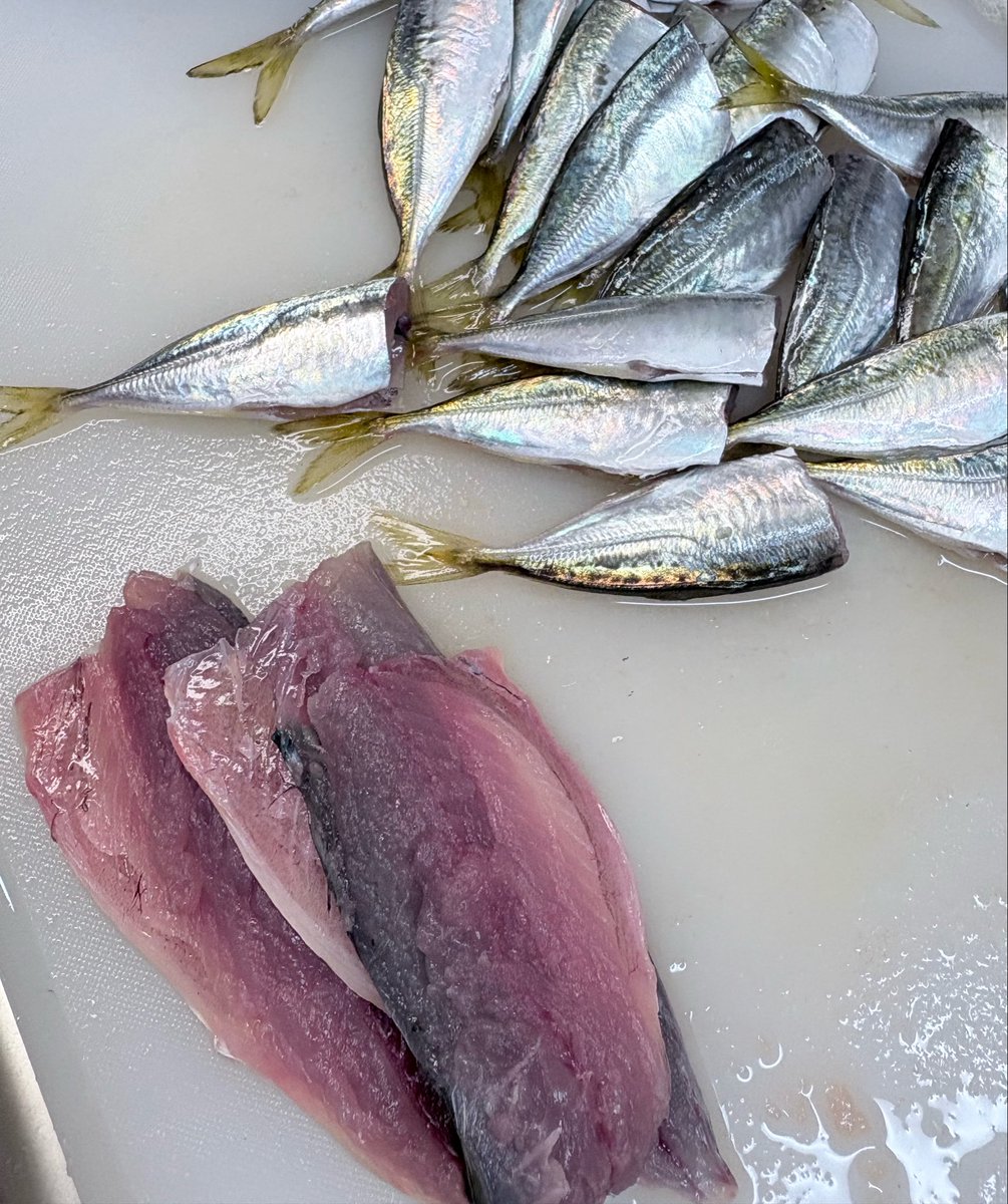 yui_ss0109's tweet photo. これを調理して鯖の味噌煮とアジの天ぷらをつくりました♪

おゆい捌けます!料理作れますヽ(`･ω･´)ゝ

#おゆいの日常 https://t.co/3VrctgUfz9