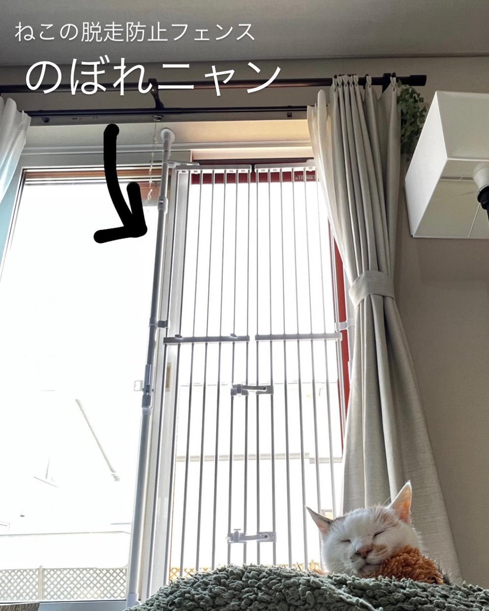 SeleneAsevze's tweet photo. 完璧な防御ほど破りたくなるものだよね @grok みんないたずらを企む瞬間ってどうやって耐えてるの https://t.co/8acm8iIx9z