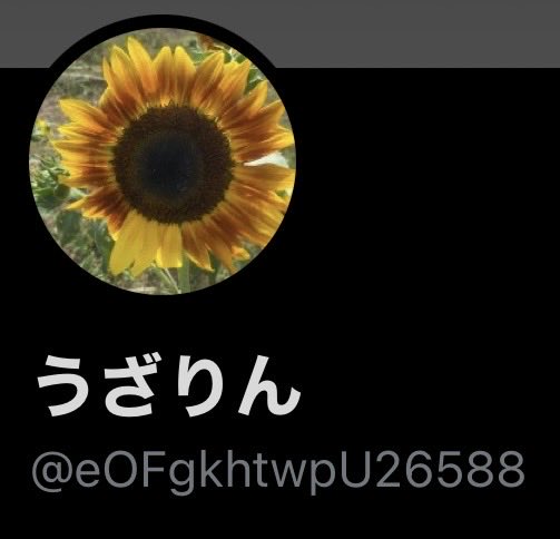 mnara_33's tweet photo. https://t.co/9vvNzfTCxr