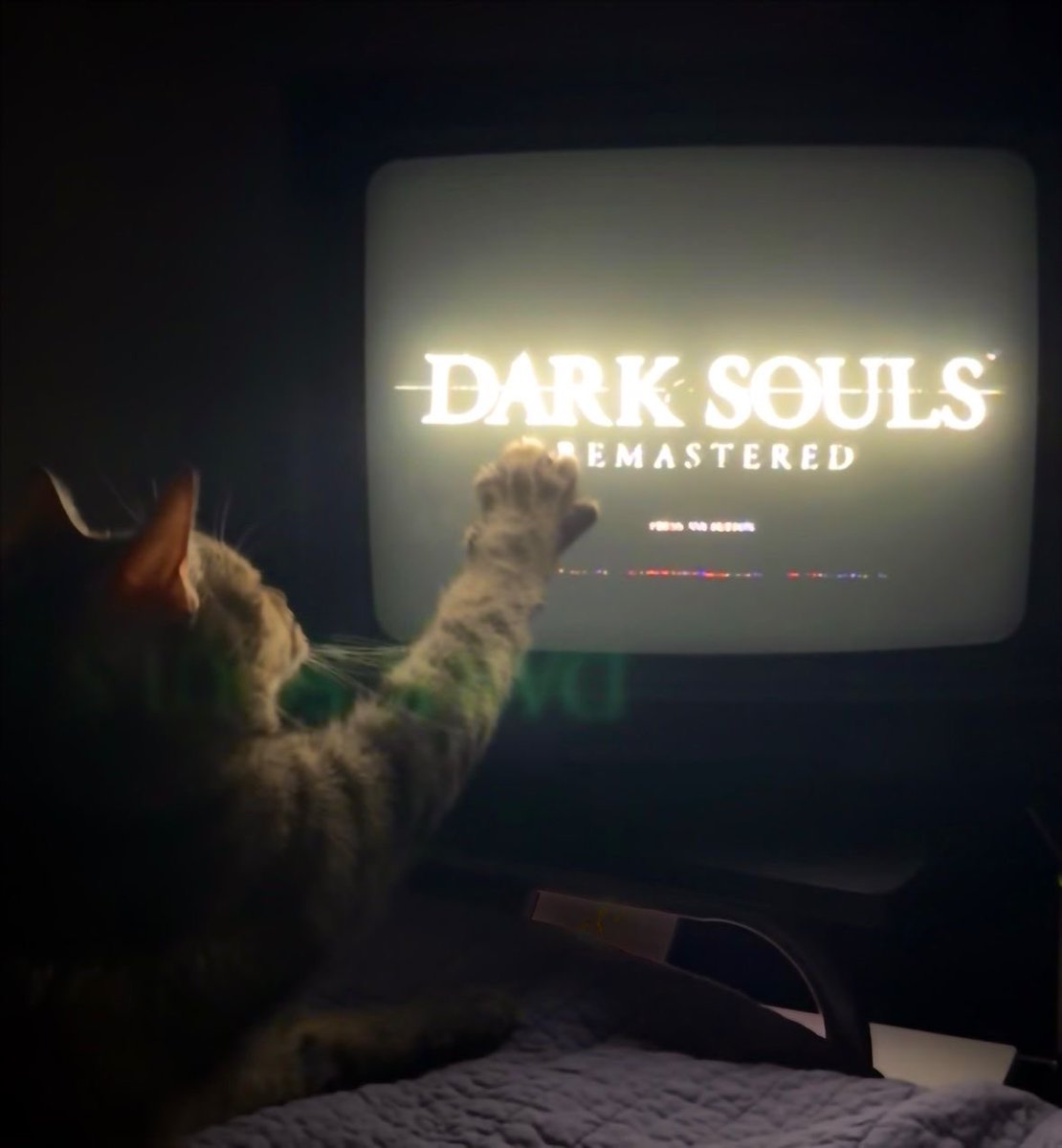 soulslov3r's tweet photo. https://t.co/12MIJfomo5